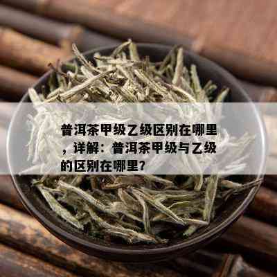 普洱茶甲级乙级区别在哪里，详解：普洱茶甲级与乙级的区别在哪里？