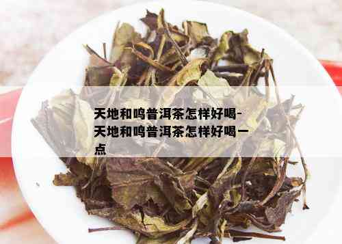 天地和鸣普洱茶怎样好喝-天地和鸣普洱茶怎样好喝一点