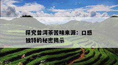 探究普洱茶苦味来源：口感独特的秘密揭示