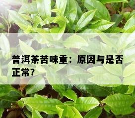 普洱茶苦味重：原因与是否正常？