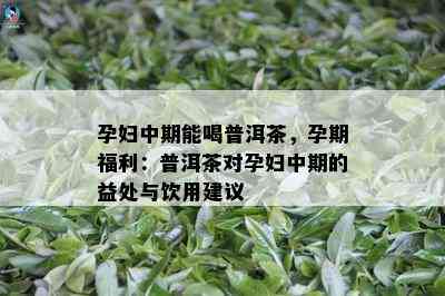 孕妇中期能喝普洱茶，孕期福利：普洱茶对孕妇中期的益处与饮用建议