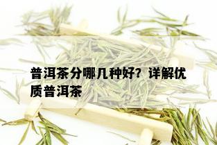 普洱茶分哪几种好？详解优质普洱茶