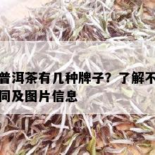 普洱茶有几种牌子？了解不同及图片信息