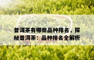 普洱茶有哪些品种排名，探秘普洱茶：品种排名全解析