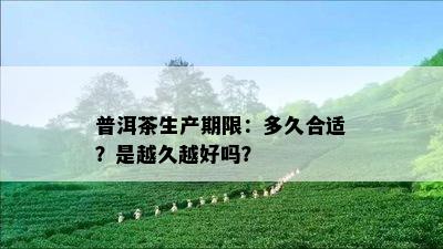 普洱茶生产期限：多久合适？是越久越好吗？