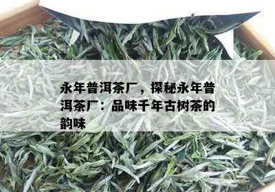 永年普洱茶厂，探秘永年普洱茶厂：品味千年古树茶的韵味