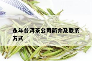 永年普洱茶公司简介及联系方式