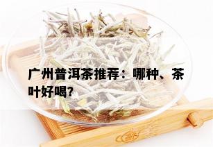 广州普洱茶推荐：哪种、茶叶好喝？