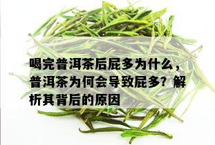 喝完普洱茶后屁多为什么，普洱茶为何会导致屁多？解析其背后的原因