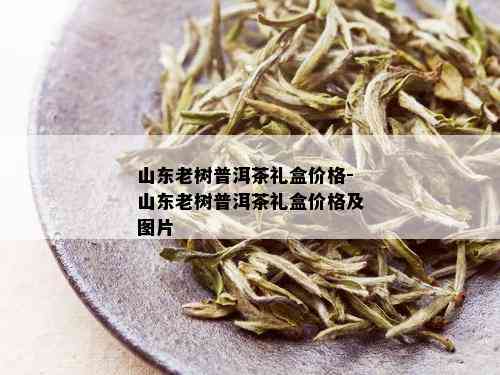 山东老树普洱茶礼盒价格-山东老树普洱茶礼盒价格及图片