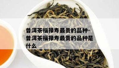 普洱茶福禄寿最贵的品种-普洱茶福禄寿最贵的品种是什么