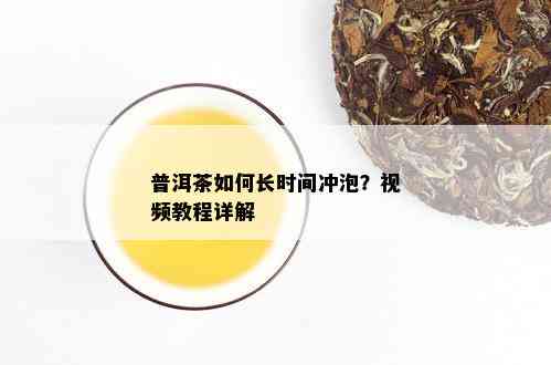 普洱茶如何长时间冲泡？视频教程详解