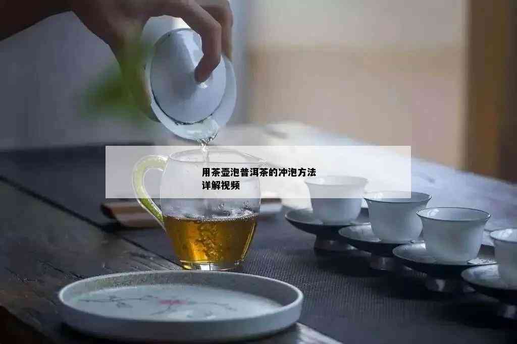 用茶壶泡普洱茶的冲泡方法详解视频