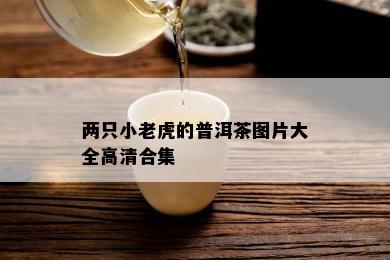 两只小老虎的普洱茶图片大全高清合集