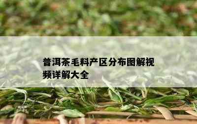 普洱茶毛料产区分布图解视频详解大全