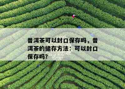 普洱茶可以封口保存吗，普洱茶的储存方法：可以封口保存吗？