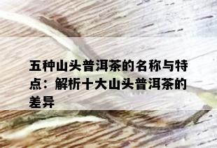 五种山头普洱茶的名称与特点：解析十大山头普洱茶的差异