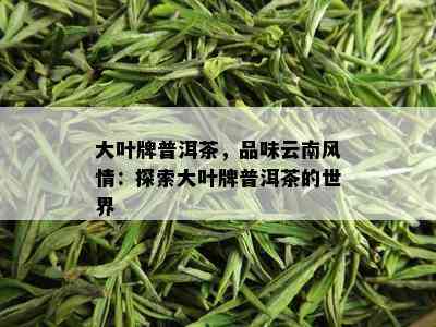 大叶牌普洱茶，品味云南风情：探索大叶牌普洱茶的世界