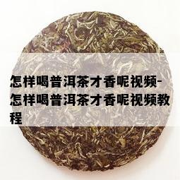 怎样喝普洱茶才香呢视频-怎样喝普洱茶才香呢视频教程