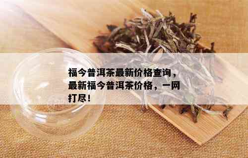 福今普洱茶最新价格查询，最新福今普洱茶价格，一网打尽！