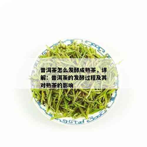 普洱茶怎么发酵成熟茶，详解：普洱茶的发酵过程及其对熟茶的影响