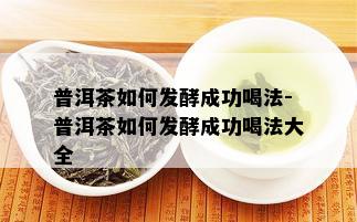 普洱茶如何发酵成功喝法-普洱茶如何发酵成功喝法大全