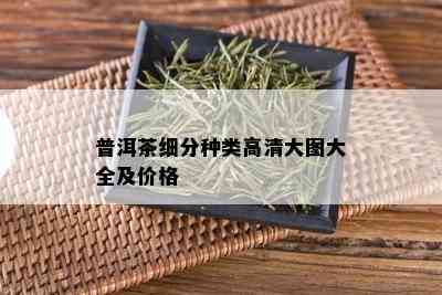 普洱茶细分种类高清大图大全及价格