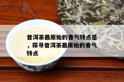 普洱茶最原始的香气特点是，探寻普洱茶最原始的香气特点