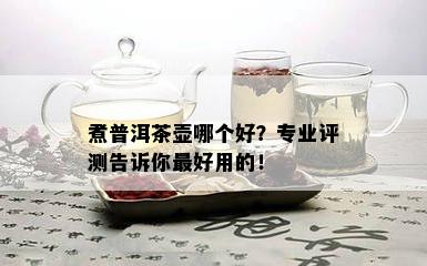 煮普洱茶壶哪个好？专业评测告诉你更好用的！