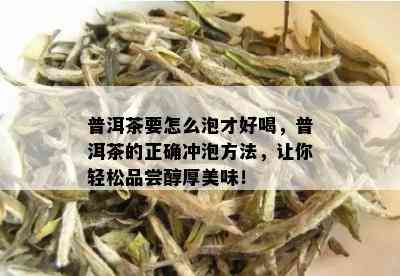 普洱茶要怎么泡才好喝，普洱茶的正确冲泡方法，让你轻松品尝醇厚美味！