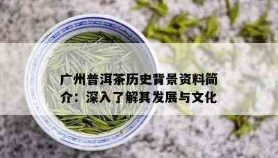 广州普洱茶历史背景资料简介：深入了解其发展与文化