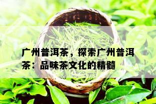 广州普洱茶，探索广州普洱茶：品味茶文化的精髓