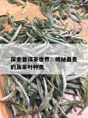 探索普洱茶世界：揭秘最贵的及茶叶种类