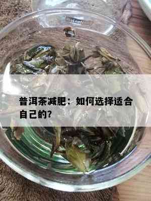 普洱茶减肥：如何选择适合自己的？