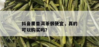 抖音里普洱茶很便宜，真的可以购买吗？