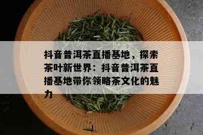 抖音普洱茶直播基地，探索茶叶新世界：抖音普洱茶直播基地带你领略茶文化的魅力