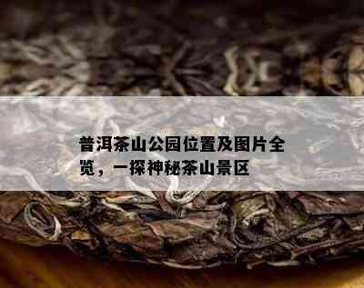 普洱茶山公园位置及图片全览，一探神秘茶山景区