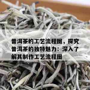 普洱茶的工艺流程图，探究普洱茶的独特魅力：深入了解其制作工艺流程图