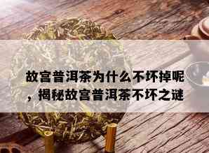 故宫普洱茶为什么不坏掉呢，揭秘故宫普洱茶不坏之谜