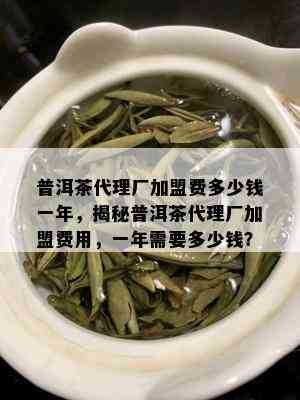 普洱茶代理厂加盟费多少钱一年，揭秘普洱茶代理厂加盟费用，一年需要多少钱？