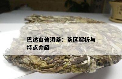 巴达山普洱茶：茶区解析与特点介绍