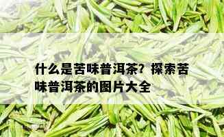 什么是苦味普洱茶？探索苦味普洱茶的图片大全