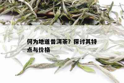 何为地道普洱茶？探讨其特点与价格