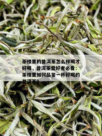 茶楼里的普洱茶怎么样喝才好喝，普洱茶爱好者必看：茶楼里如何品鉴一杯好喝的普洱茶？