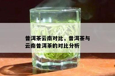 普洱茶云南对比，普洱茶与云南普洱茶的对比分析