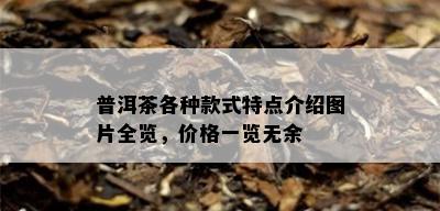 普洱茶各种款式特点介绍图片全览，价格一览无余