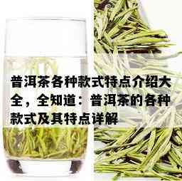 普洱茶各种款式特点介绍大全，全知道：普洱茶的各种款式及其特点详解