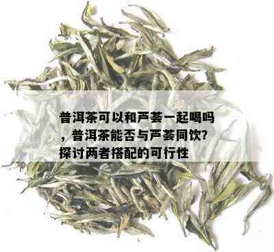 普洱茶可以和芦荟一起喝吗，普洱茶能否与芦荟同饮？探讨两者搭配的可行性