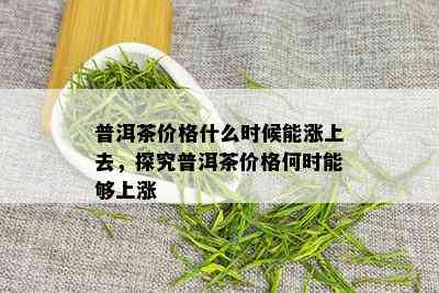 普洱茶价格什么时候能涨上去，探究普洱茶价格何时能够上涨