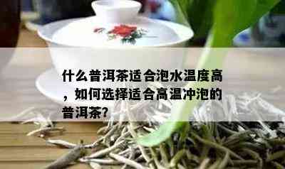 什么普洱茶适合泡水温度高，如何选择适合高温冲泡的普洱茶？